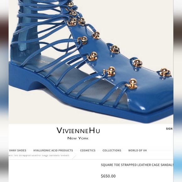 Vivienne Hu Shoes - Vivienne Hu Sz 8 in Blue